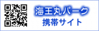 海王丸パーク携帯サイト
