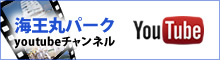 youtubeチャンネル